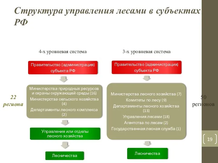Структура управления лесами в субъектах РФ 22 региона 4-х уровневая система 3-х уровневая система 50 регионов