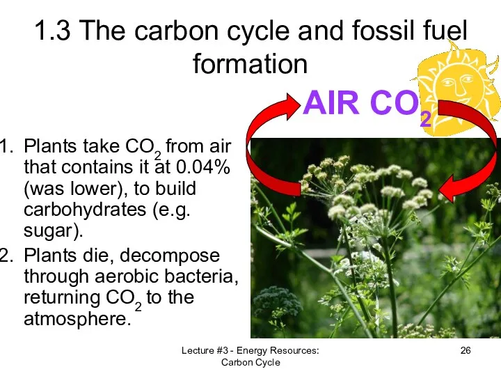 Lecture #3 - Energy Resources: Carbon Cycle 1.3 The carbon