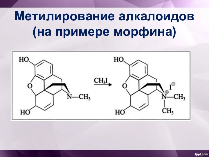 Метилирование алкалоидов (на примере морфина)