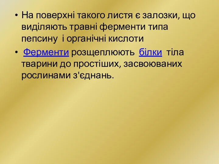 На поверхні такого листя є залозки, що виділяють травні ферменти