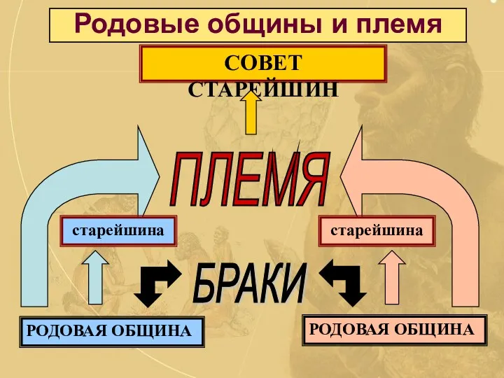 Родовые общины и племя РОДОВАЯ ОБЩИНА РОДОВАЯ ОБЩИНА