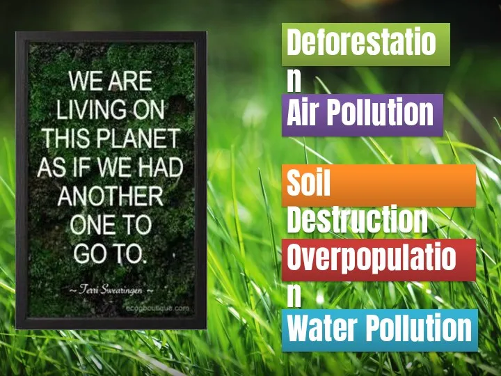 Deforestation Air Pollution Soil Destruction Overpopulation Water Pollution