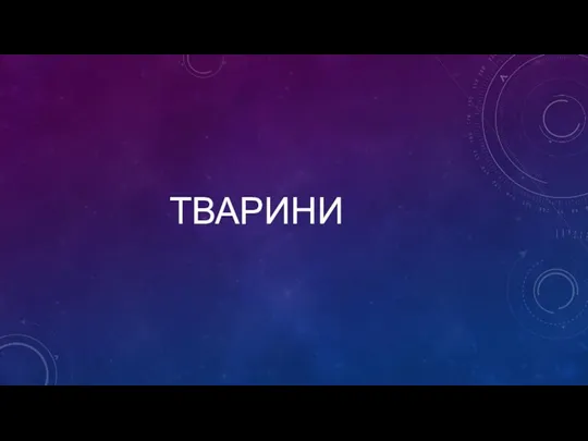 ТВАРИНИ