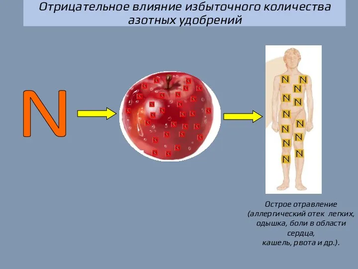 Отрицательное влияние избыточного количества азотных удобрений N Острое отравление (аллергический