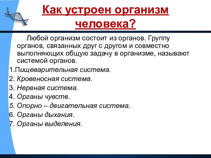 Как устроен организм человека? Любой организм состоит из органов. Группу