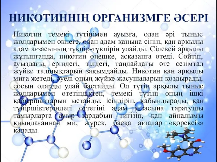 НИКОТИННІҢ ОРГАНИЗМГЕ ӘСЕРІ Никотин темекі түтінімен ауызға, одан әрі тыныс