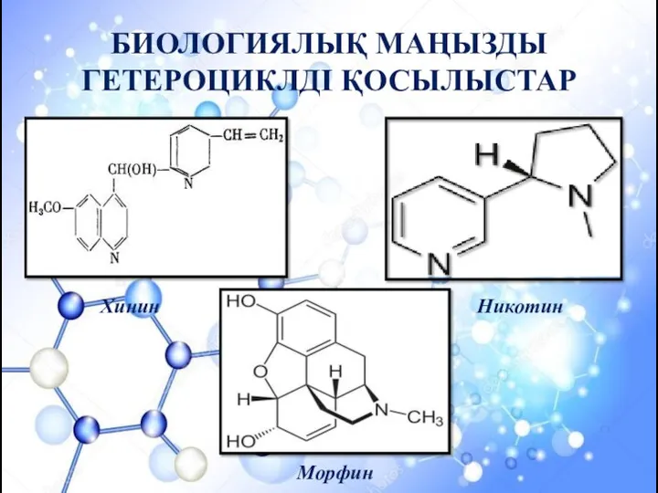 БИОЛОГИЯЛЫҚ МАҢЫЗДЫ ГЕТЕРОЦИКЛДІ ҚОСЫЛЫСТАР Никотин Хинин Морфин