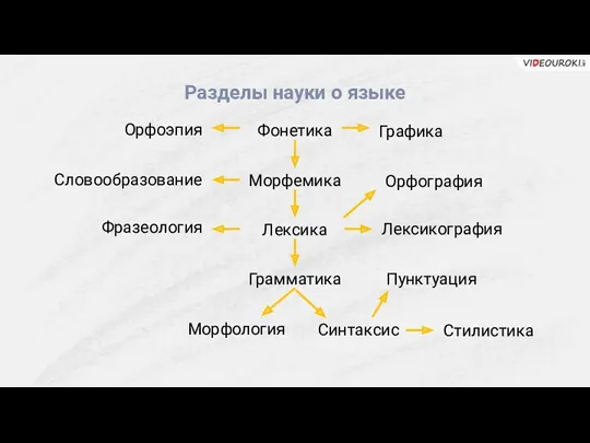 Разделы науки о языке Фонетика Морфемика Лексика Грамматика Морфология Синтаксис