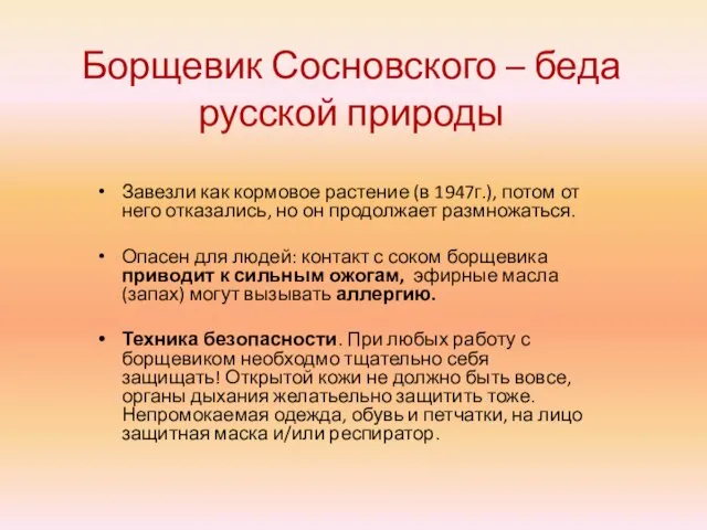 Борщевик Сосновского – беда русской природы Завезли как кормовое растение (в 1947г.), потом