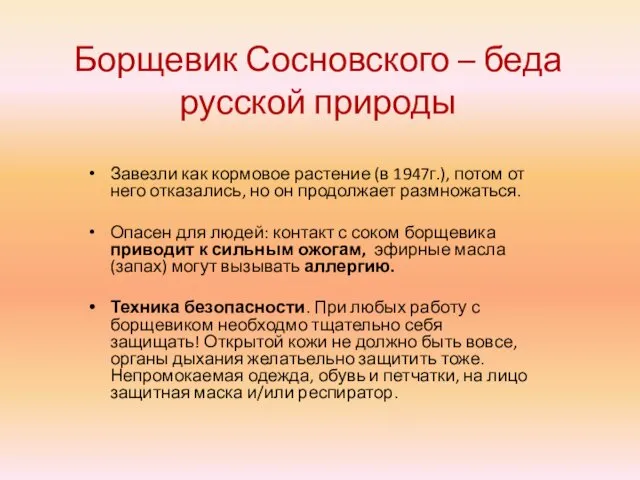 Борщевик Сосновского – беда русской природы Завезли как кормовое растение