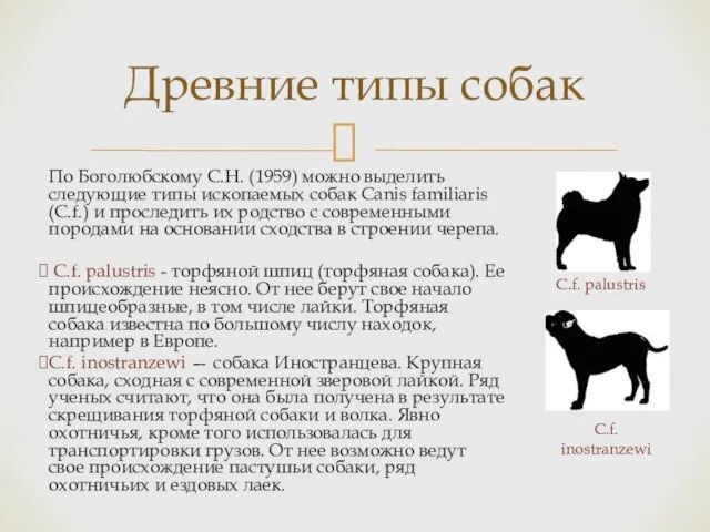 Древние типы собак По Боголюбскому С.Н. (1959) можно выделить следующие