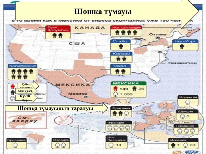 Шошқа тұмауы Шошқа тұмауы Шошқа тұмауының таралуы Қайтыс болғандар Анықтал. Күмән бар