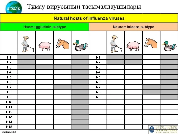 Тұмау вирусының тасымалдаушылары