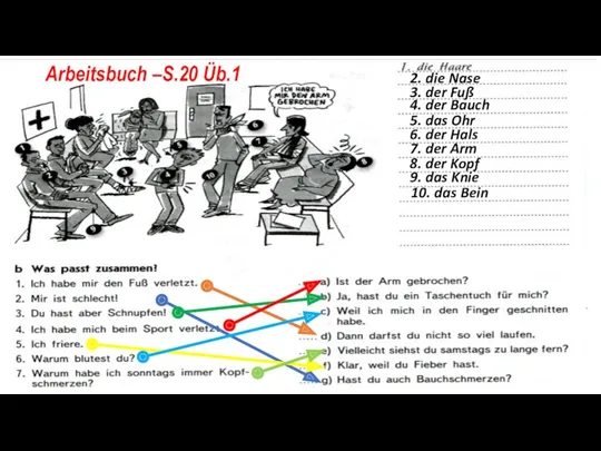 Arbeitsbuch –S.20 Üb.1 2. die Nase 3. der Fuß 4.