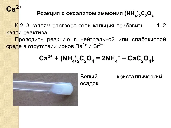 Са2+ К 2–3 каплям раствора соли кальция прибавить 1–2 капли