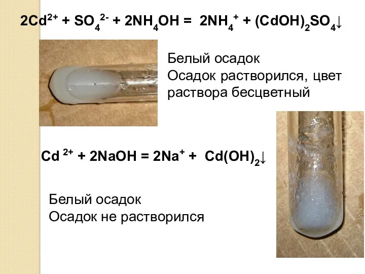 2Cd2+ + SO42- + 2NH4OH = 2NH4+ + (CdОН)2SO4↓ Белый