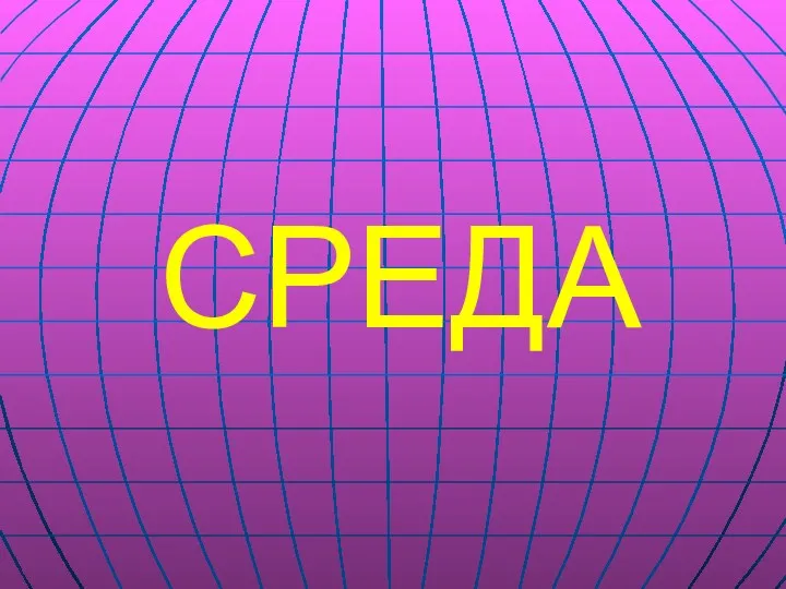 СРЕДА