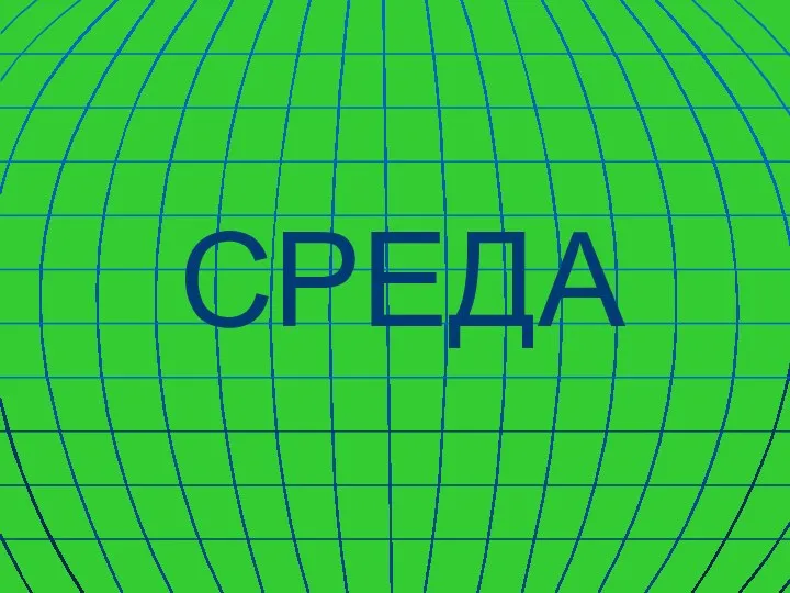 СРЕДА