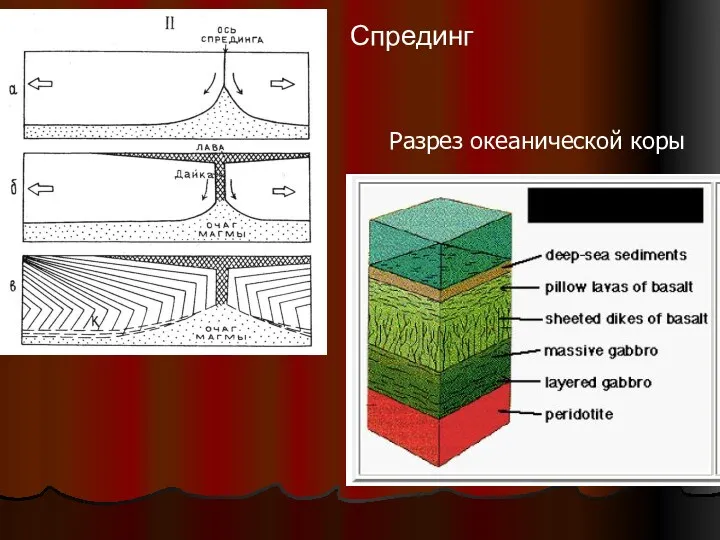 Спрединг Разрез океанической коры