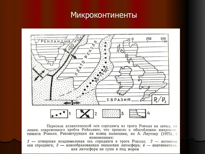 Микроконтиненты