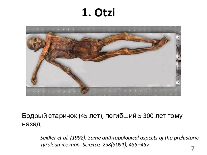 1. Otzi Бодрый старичок (45 лет), погибший 5 300 лет
