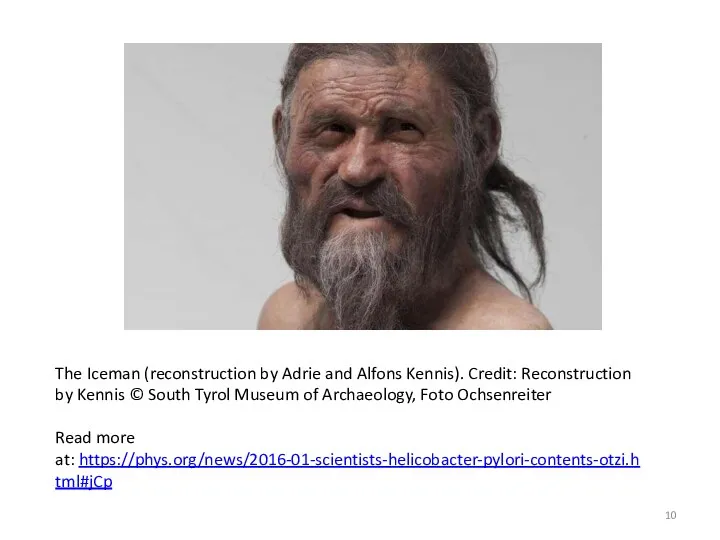 The Iceman (reconstruction by Adrie and Alfons Kennis). Credit: Reconstruction