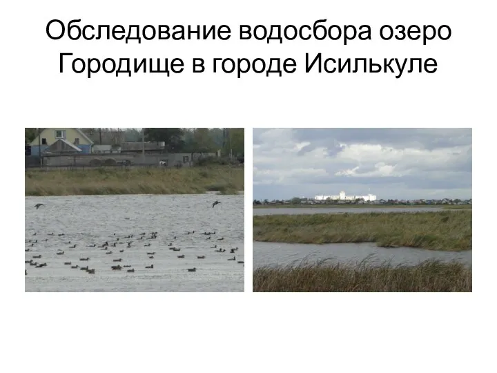 Обследование водосбора озеро Городище в городе Исилькуле