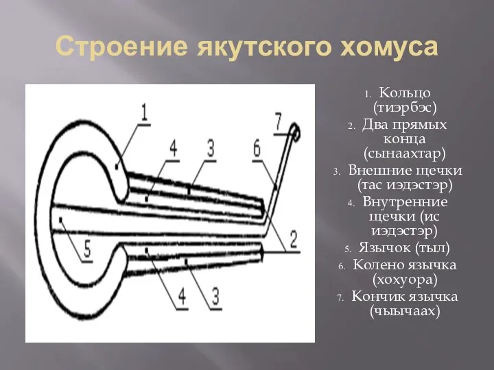 Строение якутского хомуса Кольцо (тиэрбэс) Два прямых конца (сынаахтар) Внешние