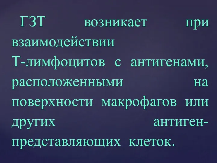 ГЗТ возникает при взаимодействии Т-лимфоцитов с антигенами, расположенными на поверхности макрофагов или других антиген-представляющих клеток.