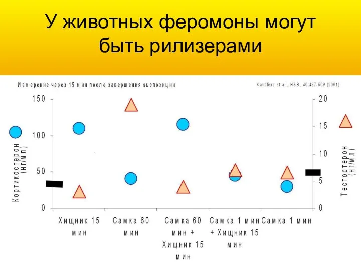 У животных феромоны могут быть рилизерами