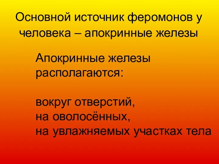 Основной источник феромонов у человека – апокринные железы Апокринные железы