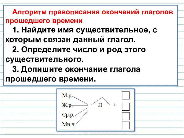 Алгоритм правописания окончаний глаголов прошедшего времени 1. Найдите имя существительное,