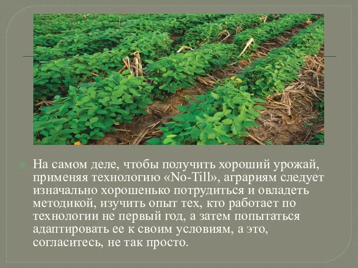 На самом деле, чтобы получить хороший урожай, применяя технологию «No-Till»,