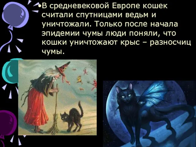 В средневековой Европе кошек считали спутницами ведьм и уничтожали. Только