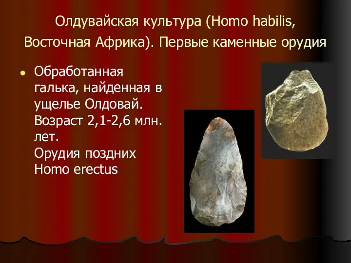 Олдувайская культура (Homo habilis, Восточная Африка). Первые каменные орудия Обработанная