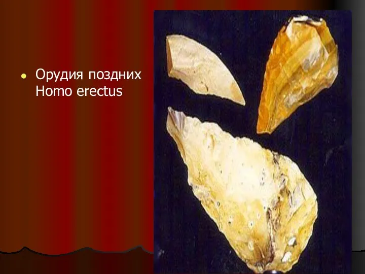 Орудия поздних Homo erectus