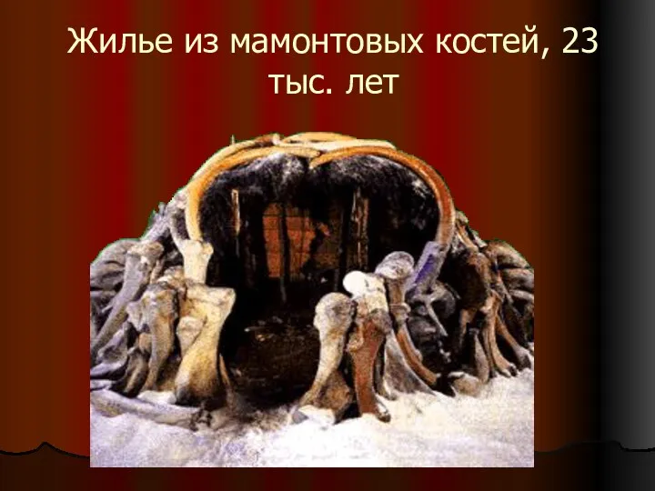 Жилье из мамонтовых костей, 23 тыс. лет