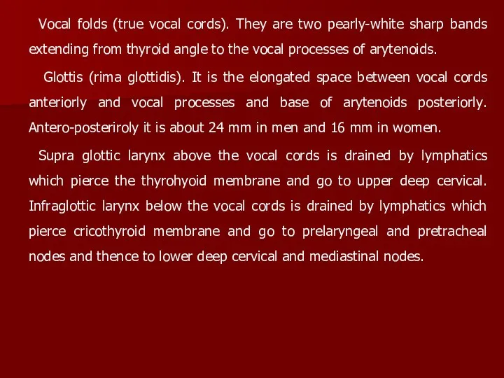 Vocal folds (true vocal cords). They are two pearly-white sharp