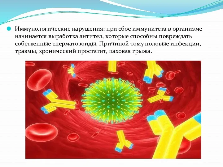 Иммунологические нарушения: при сбое иммунитета в организме начинается выработка антител, которые способны повреждать