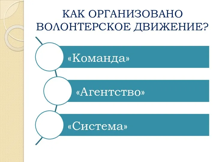 КАК ОРГАНИЗОВАНО ВОЛОНТЕРСКОЕ ДВИЖЕНИЕ?