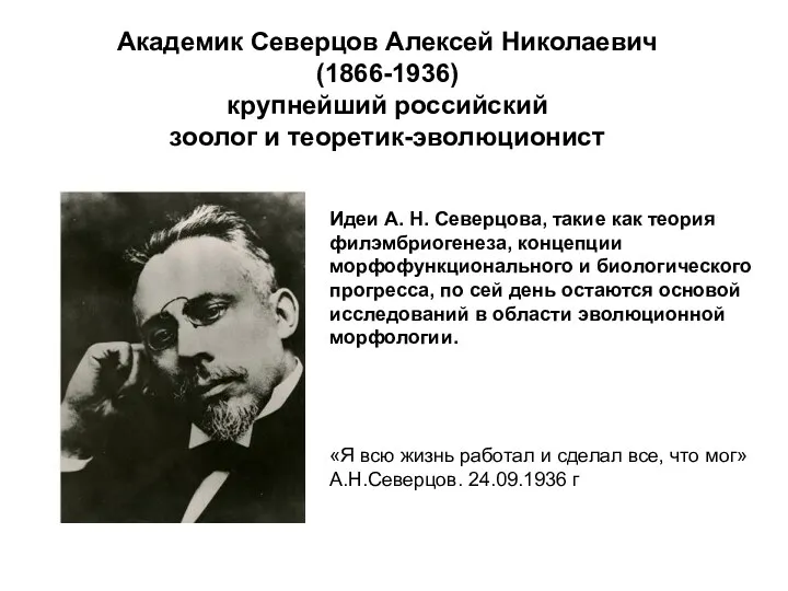 Академик Северцов Алексей Николаевич (1866-1936) крупнейший российский зоолог и теоретик-эволюционист Идеи А. Н.
