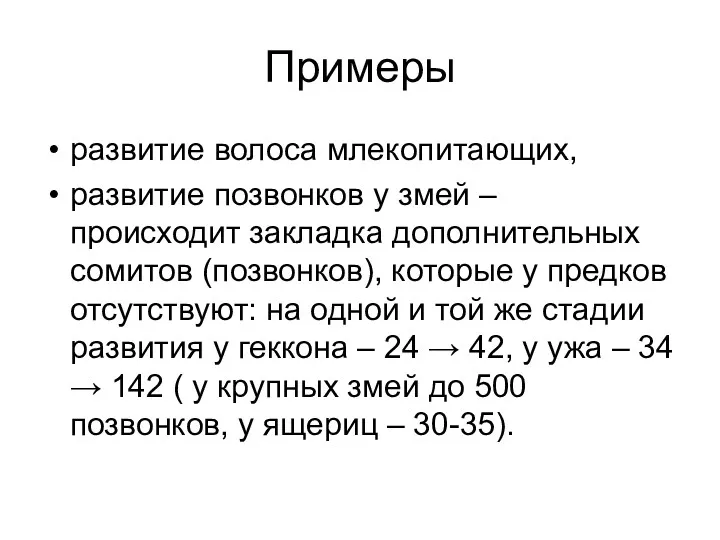 Примеры развитие волоса млекопитающих, развитие позвонков у змей – происходит