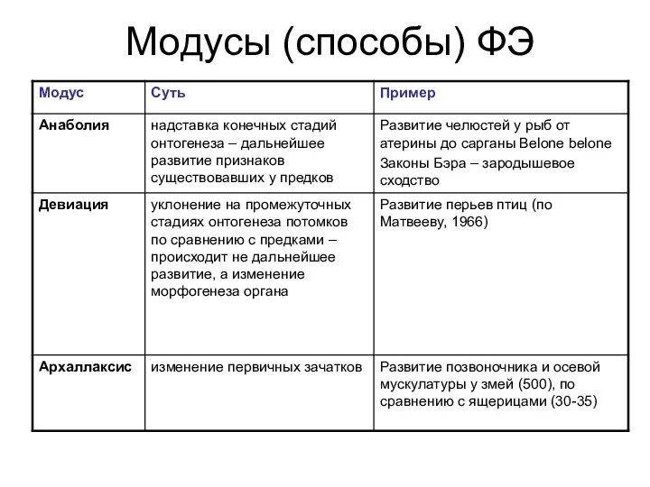 Модусы (способы) ФЭ