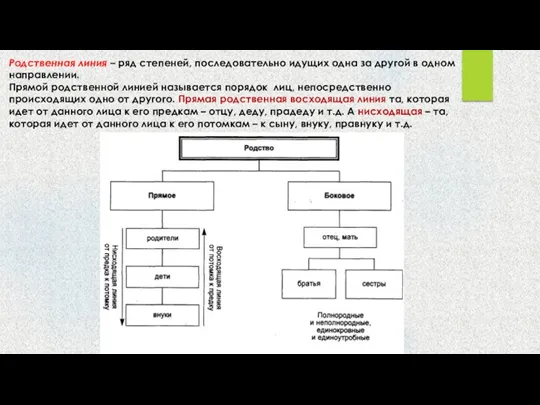 Родственная линия – ряд степеней, последовательно идущих одна за другой
