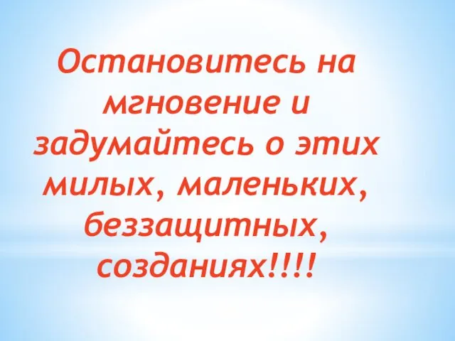 Остановитесь на мгновение и задумайтесь о этих милых, маленьких, беззащитных, созданиях!!!!