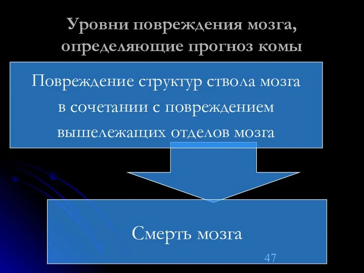 Уровни повреждения мозга, определяющие прогноз комы Смерть мозга Повреждение структур