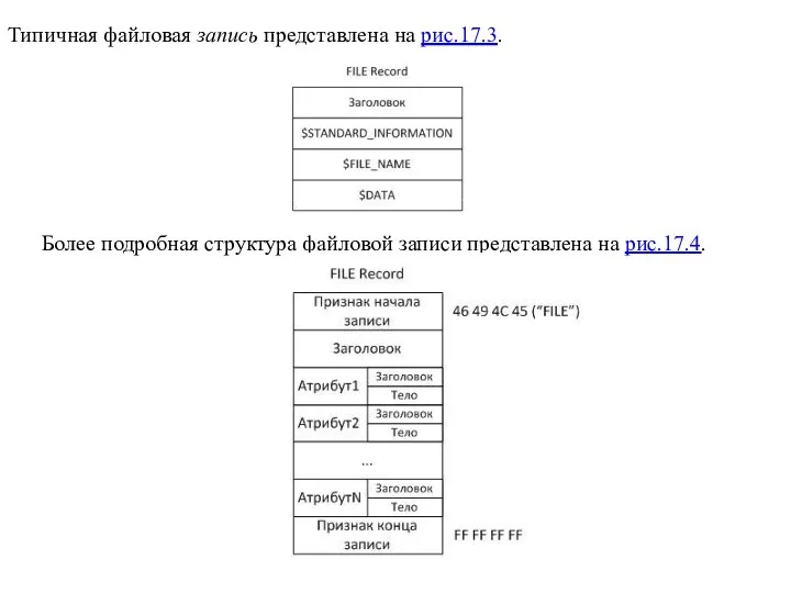 Типичная файловая запись представлена на рис.17.3. Более подробная структура файловой записи представлена на рис.17.4.