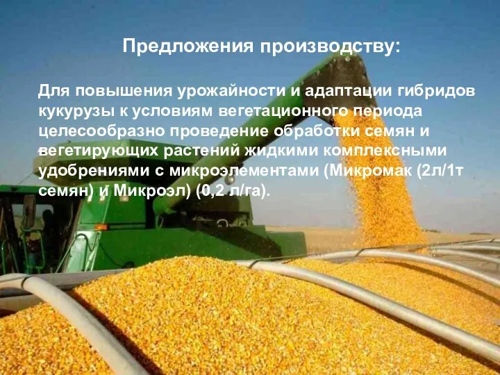Предложения производству: Для повышения урожайности и адаптации гибридов кукурузы к