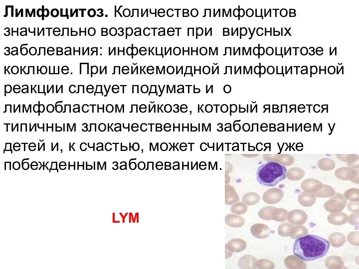 Лимфоцитоз. Количество лимфоцитов значительно возрастает при вирусных заболевания: инфекционном лимфоцитозе