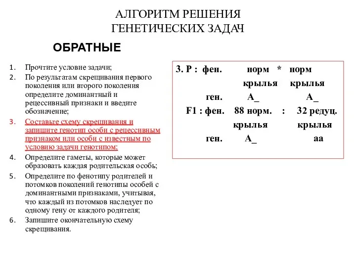 АЛГОРИТМ РЕШЕНИЯ ГЕНЕТИЧЕСКИХ ЗАДАЧ 3. Р : фен. норм * норм крылья крылья